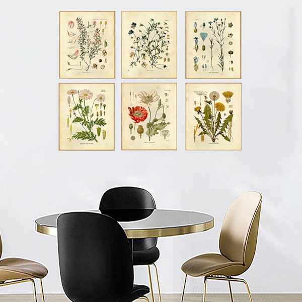 Set med 6 (20X25cm, oramad) växttryck canvas konst hemdekoration