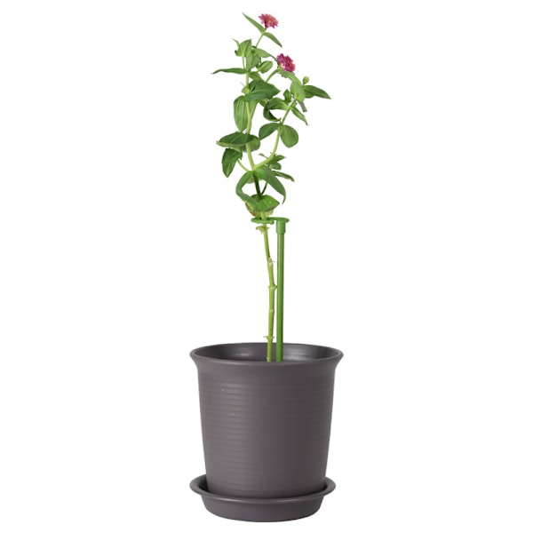 6 Växtstöd | 60cm Stöd för Klätterväxter och Blommor | Grönt Växtstöd | Hjälp Dina Blommor att Växa | Tomatstöd Trädgård | Pinnar för Orkidéer, Amaryllis, Pioner