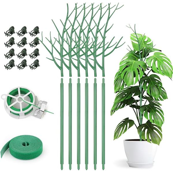 Paket med stödpinnar för inomhusväxter, 70 cm grenpinnar med orkidéklipp