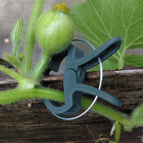 40 Stk. Klemmer for klatreplanter, Klemmer for tomater, Klemmer for planter, Klemmer for tomatfeste (2 størrelser)
