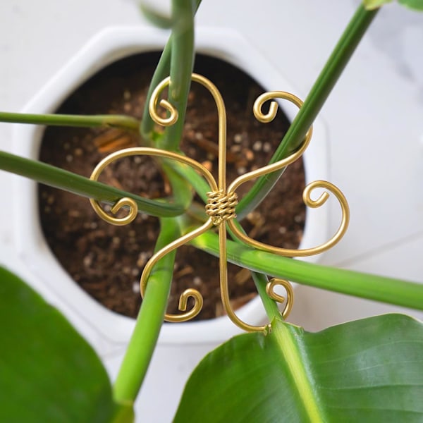 5 ST Monstera Växtstöd System 4.1IN - Hållbara Krokstamstöd för Hälsosam Tillväxt, Stabilisator för Blad och Sköldpaddsskal, Lättanvänd Inomhus