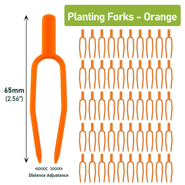 Jordbærplantegaffel, 65 mm holder, vinrankepresseenhet, Stra