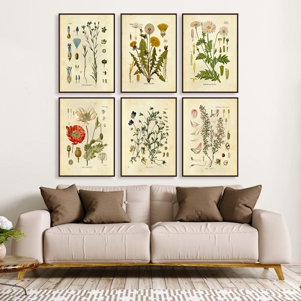 Set med 6 (20X25cm, oramad) växttryck canvas konst hemdekoration