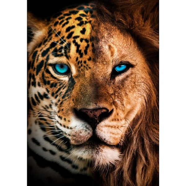 30x40cm, 5D diamantmålning Leopards strassbroderi canvas