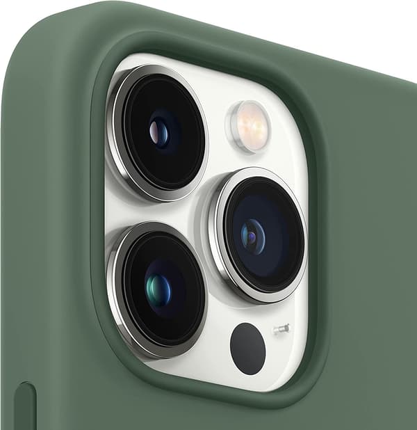 Ocean Silikonfodral med MagSafe (för iPhone 13 Pro) - Eucalyptus