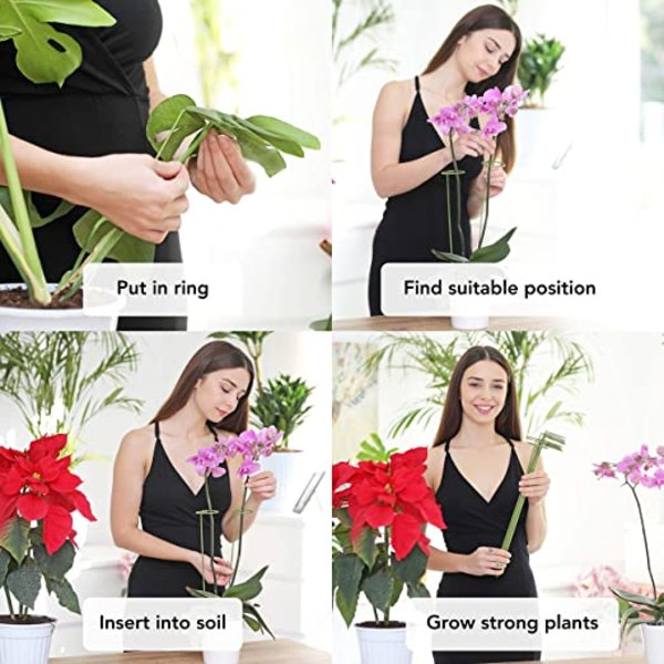 Kit 10 plantestake - Støtter til klatreplanter og blomster -
