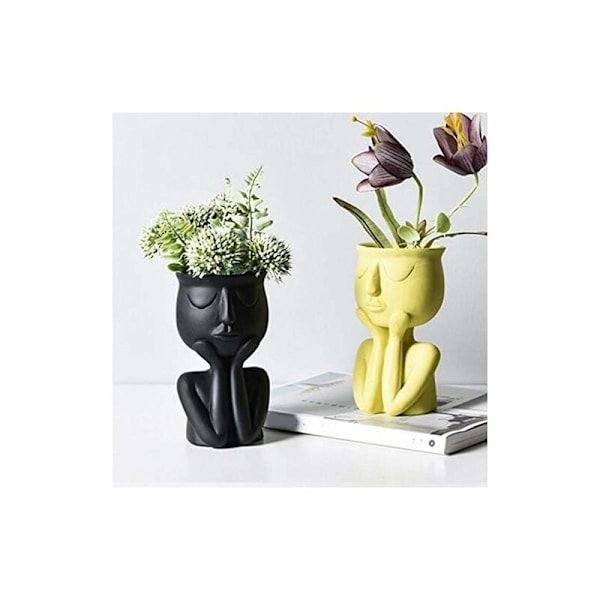 Kreativ Nordisk Karakterformet Vase Sort Vase Sukkulenter