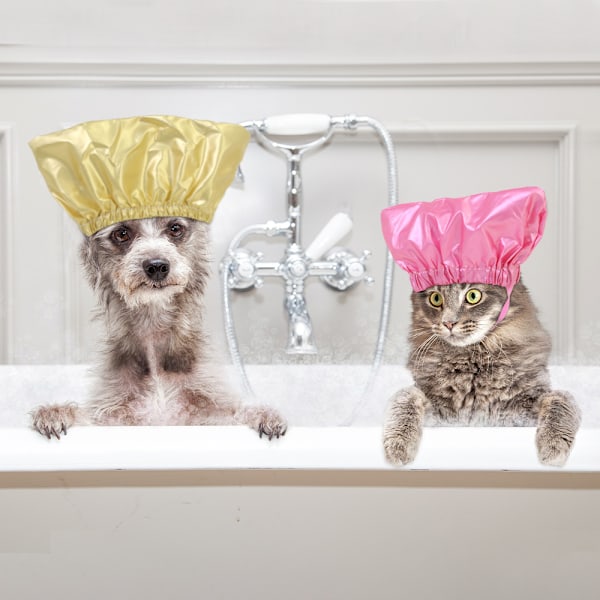 Vanntett badehette for kjæledyr, dusjhette for katt, gjenbrukbar dusjhette for hund, utstilling
