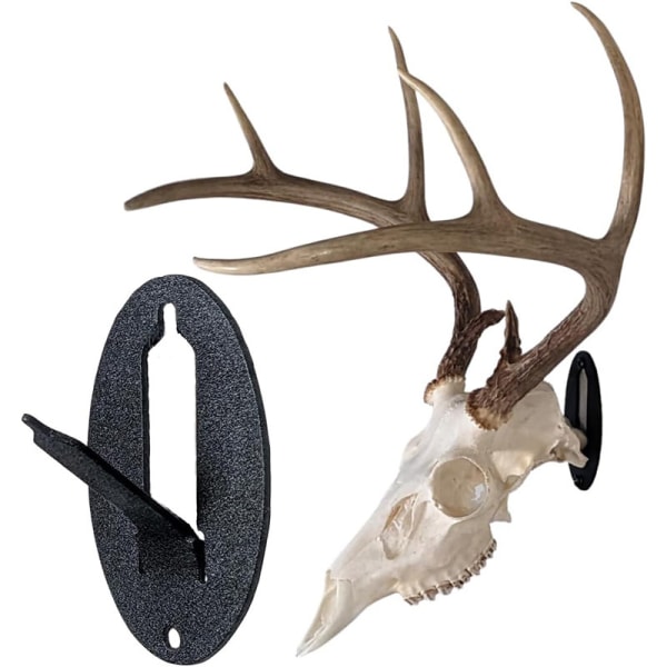 6st Whitetail Deer Skull Krok monteringssystem – European Style M