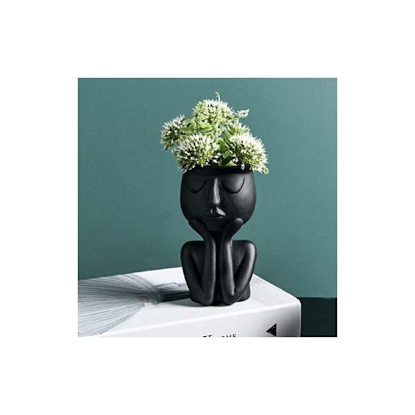 Kreativ Nordisk Karakterformet Vase Sort Vase Sukkulenter