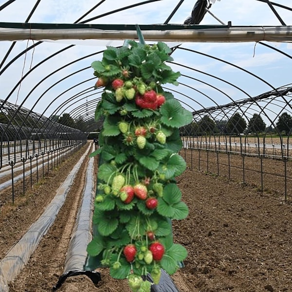 Planteposer for jordbær, aromatiske planter, PE-lommeplanter, planteposer for grønnsaker for jordbær, urter, blomster, poteter, gulrøtter, tomater, løk