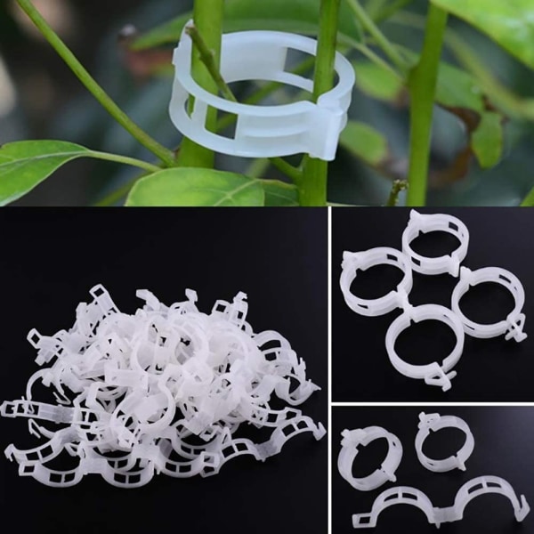 100-pack Plant Support Clips Garden Tomato Clips Support/Plant Co