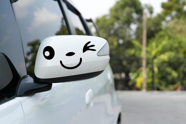 Domire Panda Vedenpitävä Autotarra