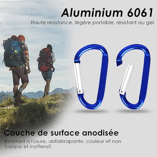 10-pack Aluminiumkarbinhake med D-krok Nyckelring Multifärgad