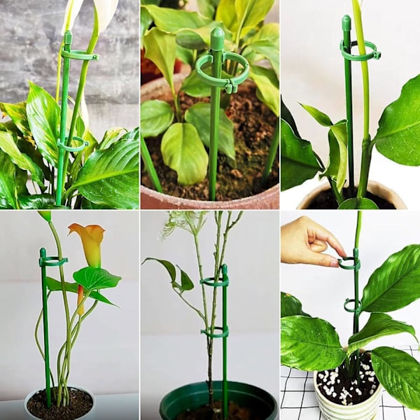 Sett med 10 Plantestøtter, 30cm Støtter for Klatreplanter og Blomster, Hjelp Blomstene Dine med å Vokse, Tomatstøtter Hage, Orkidepinner, Amaryllis