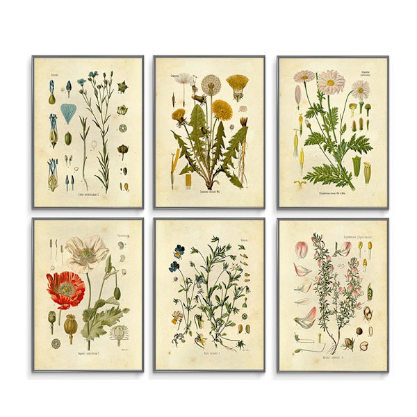 Set med 6 (20X25cm, oramad) växttryck canvas konst hemdekoration