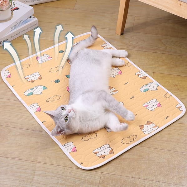 Latex kølemåtte til katte, 50x40cm kølemåtte til små hunde, kølemåtte til katte, kattekølemåtte, kølemadras