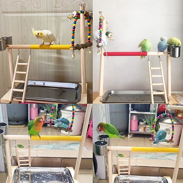 Lekplats för fåglar, papegojlekplats, Cockatoo-burtillbehör