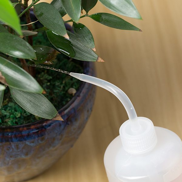Sæt med 2 Flasker - 250ml Bløde Klemme Vandingsflasker til Planter