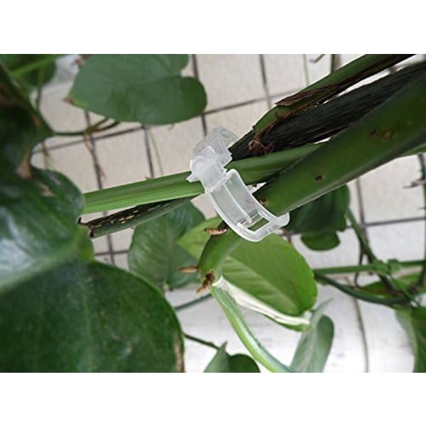 200 Stykker Hvite Tomatklips for Planter, Klatreklips, Hageplastklips, for Grønnsaker, Planter, Tomater