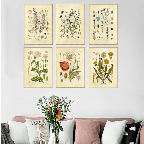 Set med 6 (20X25cm, oramad) växttryck canvas konst hemdekoration