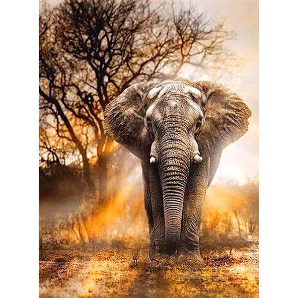 30 x 40 cm, Elefant Diamantmaleri Broderi Diamantmaleri