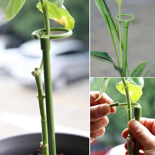 6 Växtstöd | 60cm Stöd för Klätterväxter och Blommor | Grönt Växtstöd | Hjälp Dina Blommor att Växa | Tomatstöd Trädgård | Pinnar för Orkidéer, Amaryllis, Pioner