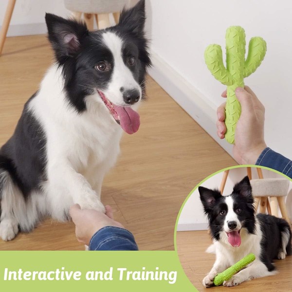 Tyggelegetøj til hunde til aggressive tyggere, holdbart gummi kaktus robust legetøj til træning og tandrensning, interaktivt hundelegetøj til små/mellemstore hunde