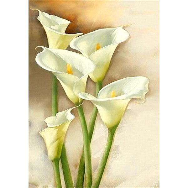 30 x 40 cm , Diamond painting, broderi Diamond painting Canvas 5