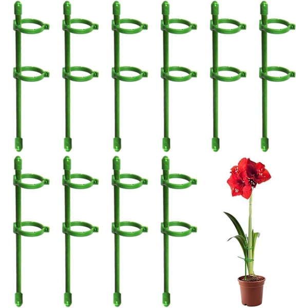Sett med 10 Plantestøtter, 30cm Støtter for Klatreplanter og Blomster, Hjelp Blomstene Dine med å Vokse, Tomatstøtter Hage, Orkidepinner, Amaryllis