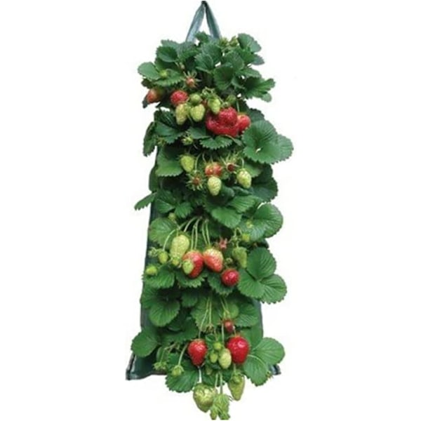 Planteposer for jordbær, aromatiske planter, PE-lommeplanter, planteposer for grønnsaker for jordbær, urter, blomster, poteter, gulrøtter, tomater, løk