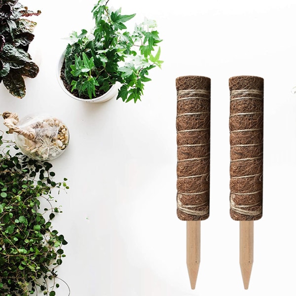 30 cm 2-pack Växtstöd, Kokosstöd, Kokospåle, Kokospinne