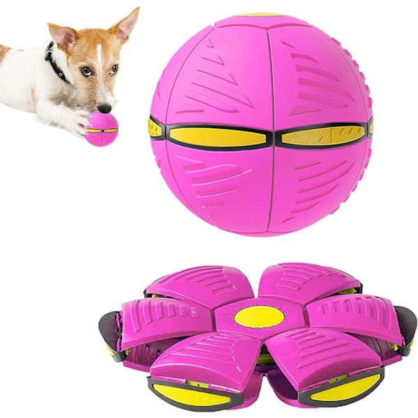 Frisbee-ball for hunder, rosa, Frisbee-ball hundeleketøy, Magisk Frisbee