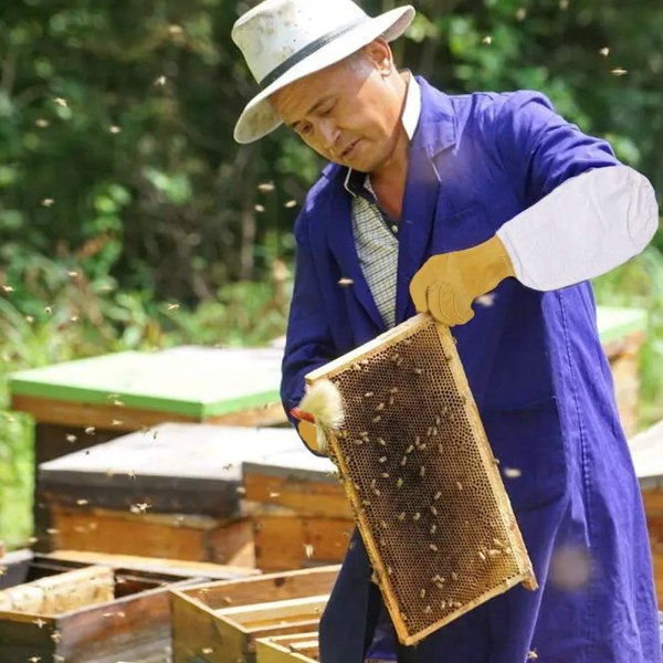 Mehiläishoitohanskat (keltainen), lampaannahkaiset suojakäsineet, pitkähihaiset