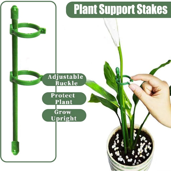 Sett med 10 Plantestøtter, 30cm Støtter for Klatreplanter og Blomster, Hjelp Blomstene Dine med å Vokse, Tomatstøtter Hage, Orkidepinner, Amaryllis