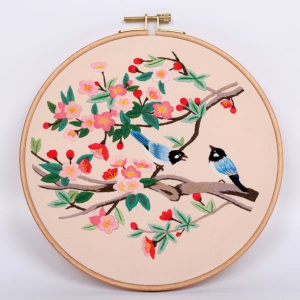 Broderikit for voksne nybegynnere, broderikit