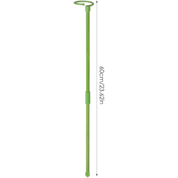 6 Växtstöd | 60cm Stöd för Klätterväxter och Blommor | Grönt Växtstöd | Hjälp Dina Blommor att Växa | Tomatstöd Trädgård | Pinnar för Orkidéer, Amaryllis, Pioner