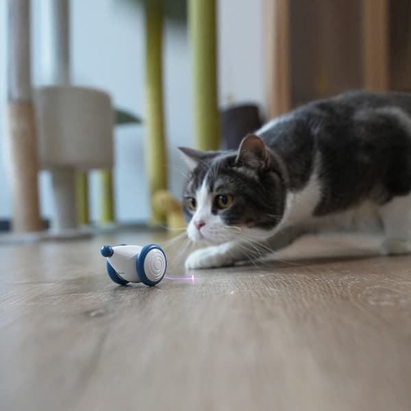 Ocean Blue elektrisk katt- og museleke med lysende hale, interaktiv