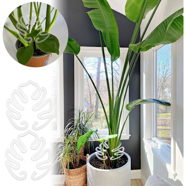 2 st Monstera Växtstöd Inomhus Växtstöd Pinnar Växtstamstöd Bladklämma För Växter Plast Klar Monstera Form Pinne För Utomhus Eller Inomhus