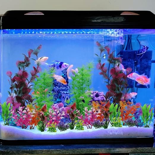 Plastakvarium planter, 23 stykker kunstige akvarium planter