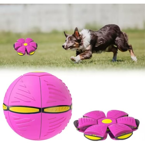 Frisbeeboll för hundar, rosa, frisbeeboll hundleksak, magic frisbee