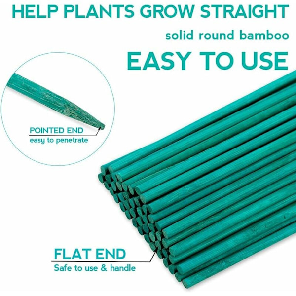 50 stycken 38 cm växtstöd gröna växtpinnar bambu blompinnar