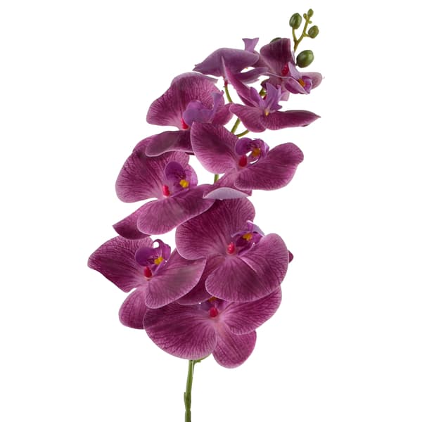 Konstgjord orkidégren Mondex Viridis 90cm grön 1st