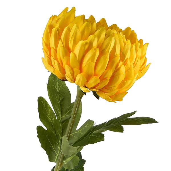 Konstblomma Viridis AW25 73x13 gul 1pc