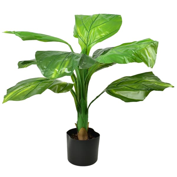 Konstgjord blomma MONDEX VIRIDIS 80 cm Grön 1-pack