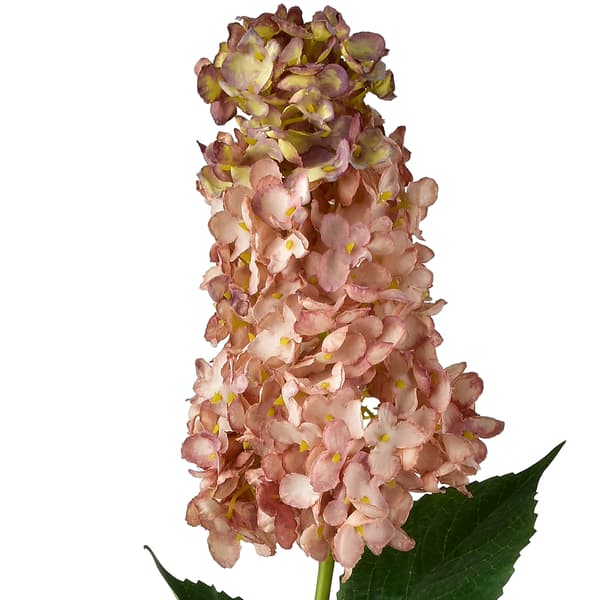 Konstgjord Hortensia Mondex Viridis 80cm 1pc