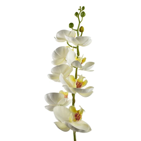 Konstgjord orkidégren MONDEX Viridis 85cm vit 1st
