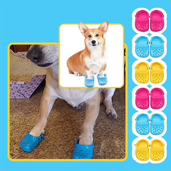 Candy pet 2025