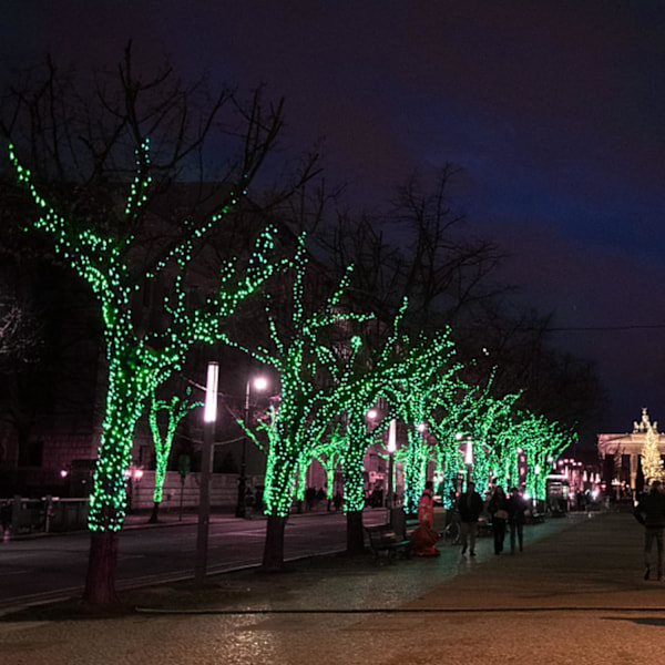 St. Patricks Day lyslenke utendørs, 50 LED 16 FT Shamrocks dekorative grønne bladlys batteridrevet, 8 lysmoduser og timer, grønn