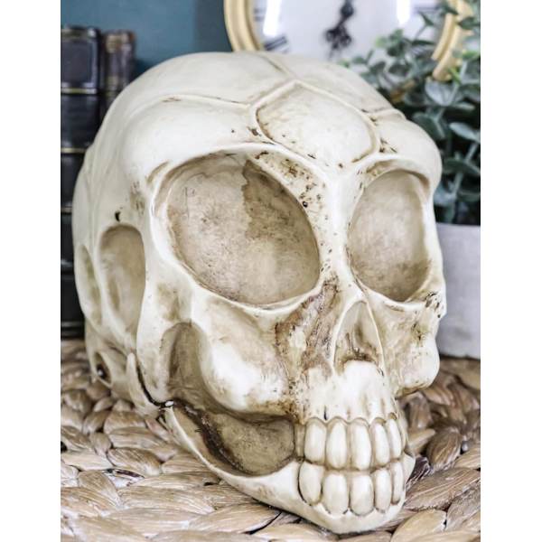 Ebros Roswell UFO Alien Honeycomb Elongated Skull Statue 8\"Lang Ekstra Terrestrial Skelet Monster Hoved Alkymi Ossuary Macabre     Dekorativ Multi